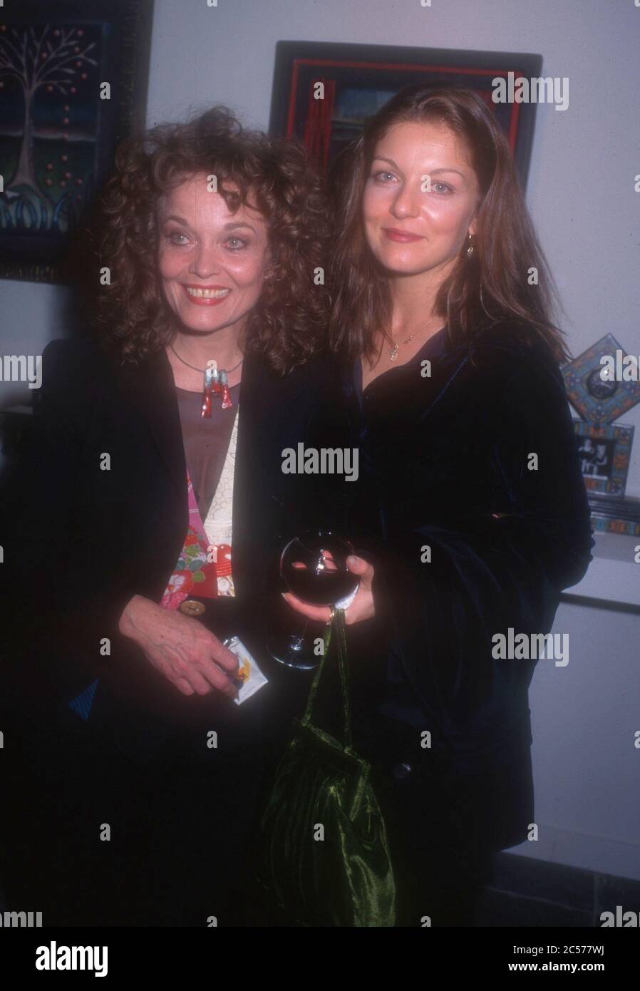 Los Angeles, California, USA 30th November 1995 Actress Sheryl Lee and