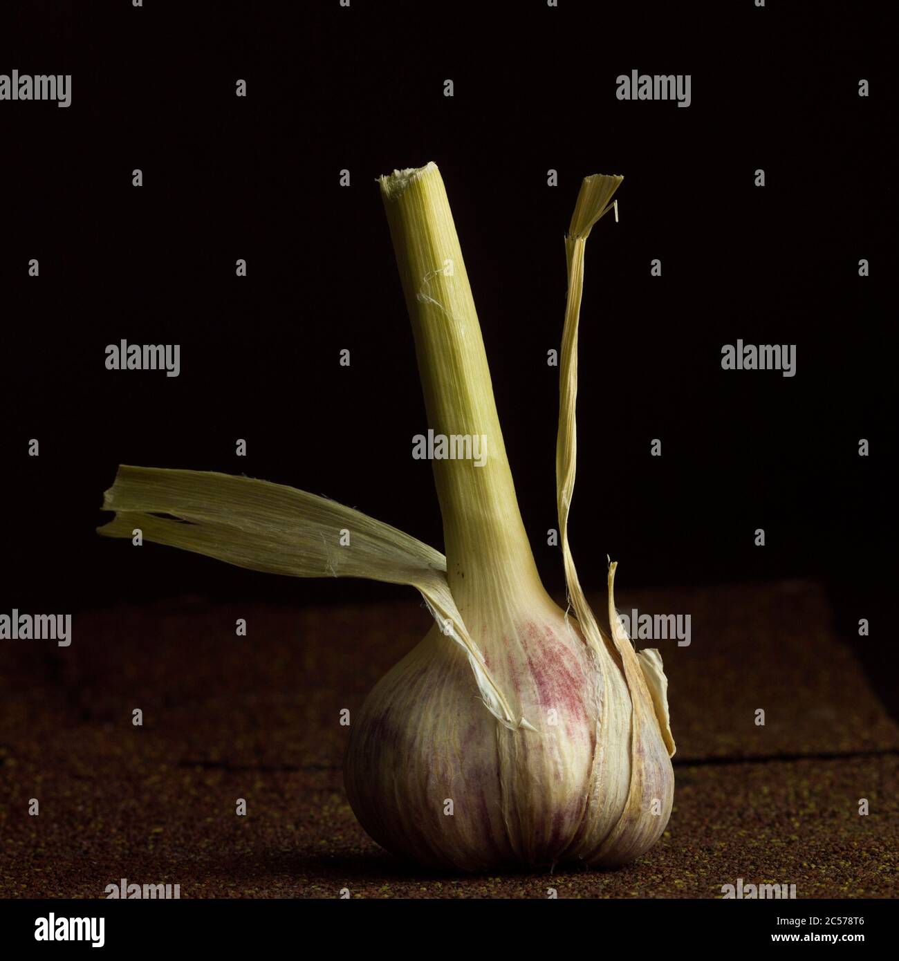 Closeup shot of garlic in the darkness Stock Photo