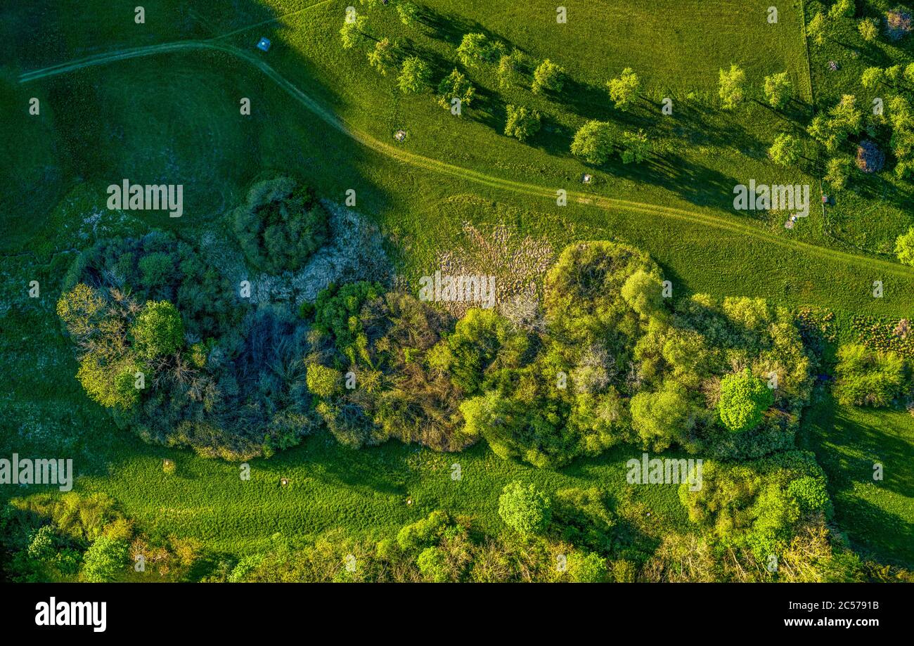 Drone shot at a green countrysided path through grassy meadows, where ...