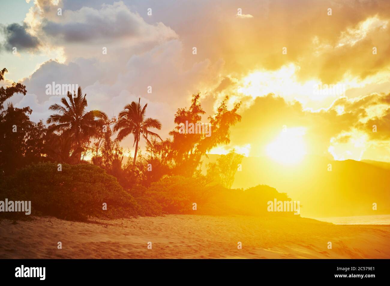 Coconut sanctuaries hires stock photography and images Alamy