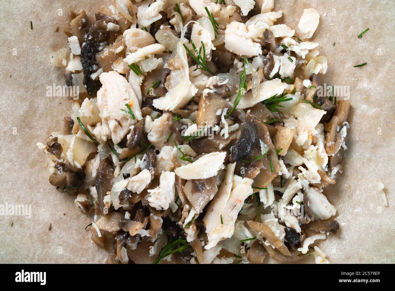 Photo of fried chicken fillet with fennel Stock Photo Alamy