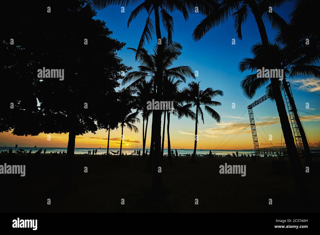 Coconut palms or coconut palm (Cocos nucifera) at sunset, K?hi? Beach, Honolulu Honolulu, Hawaii, United States Stock Photo