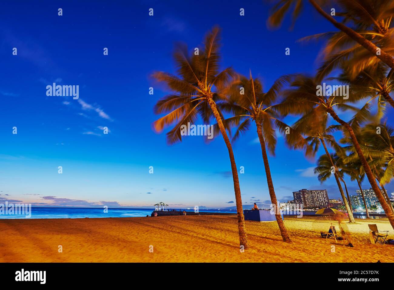Coconut palms or coconut palm (Cocos nucifera) at sunset, K?hi? Beach, Honolulu Honolulu, Hawaii, United States Stock Photo