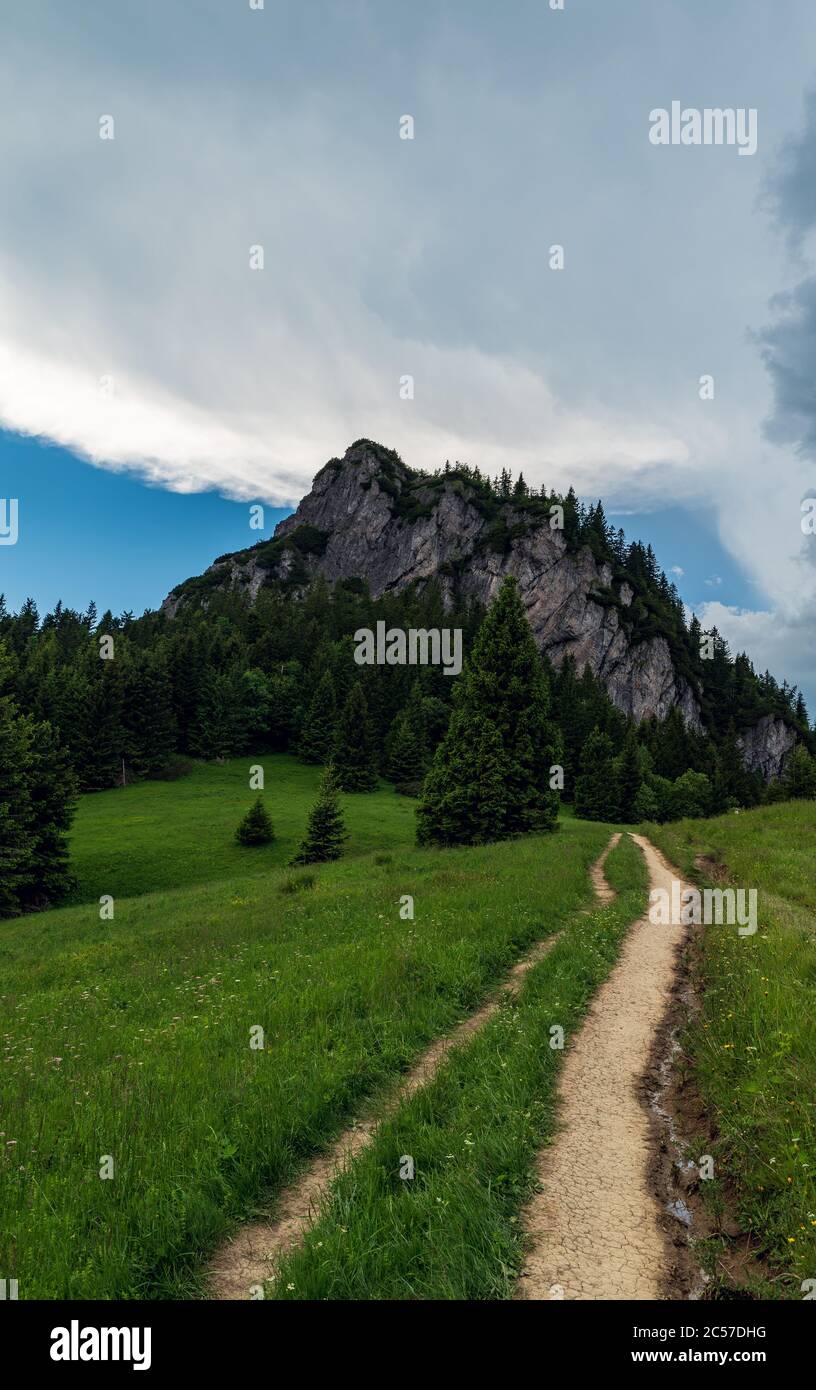 Sedlo Zakres with mountain meadow, hiking trail and rocky Maly Rozsutec  hill above in Mala Fatra mountains in Slovakia Stock Photo - Alamy