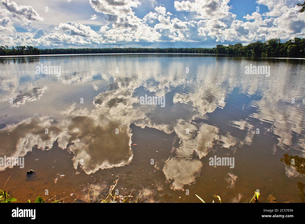 Rainforest at sandoval lake hi-res stock photography and images - Alamy