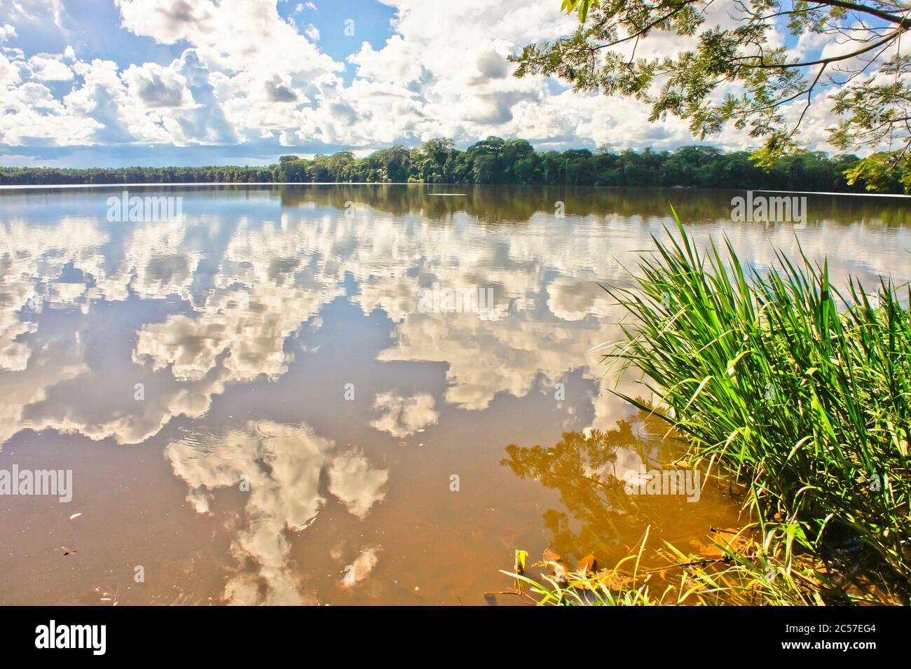 Lake Sandoval reflection, Amazon Basin, Peru, South America Stock Photo ...