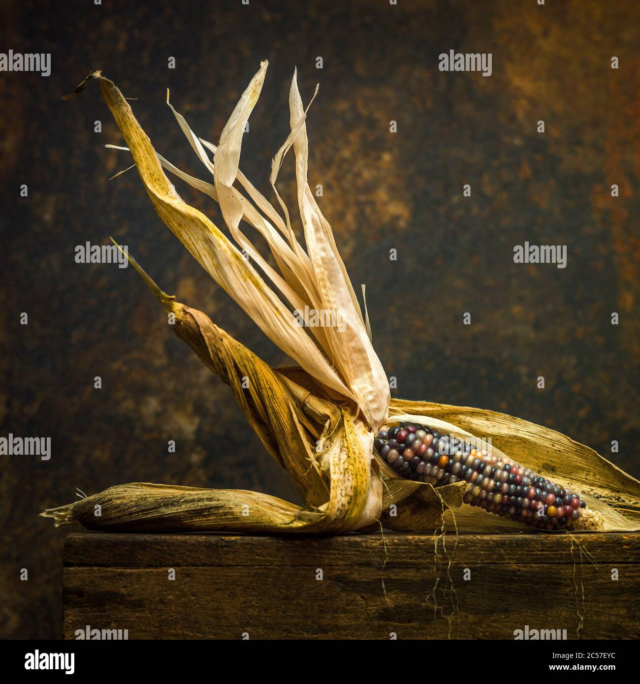 Multicolored ripe corn on a brown background Stock Photo