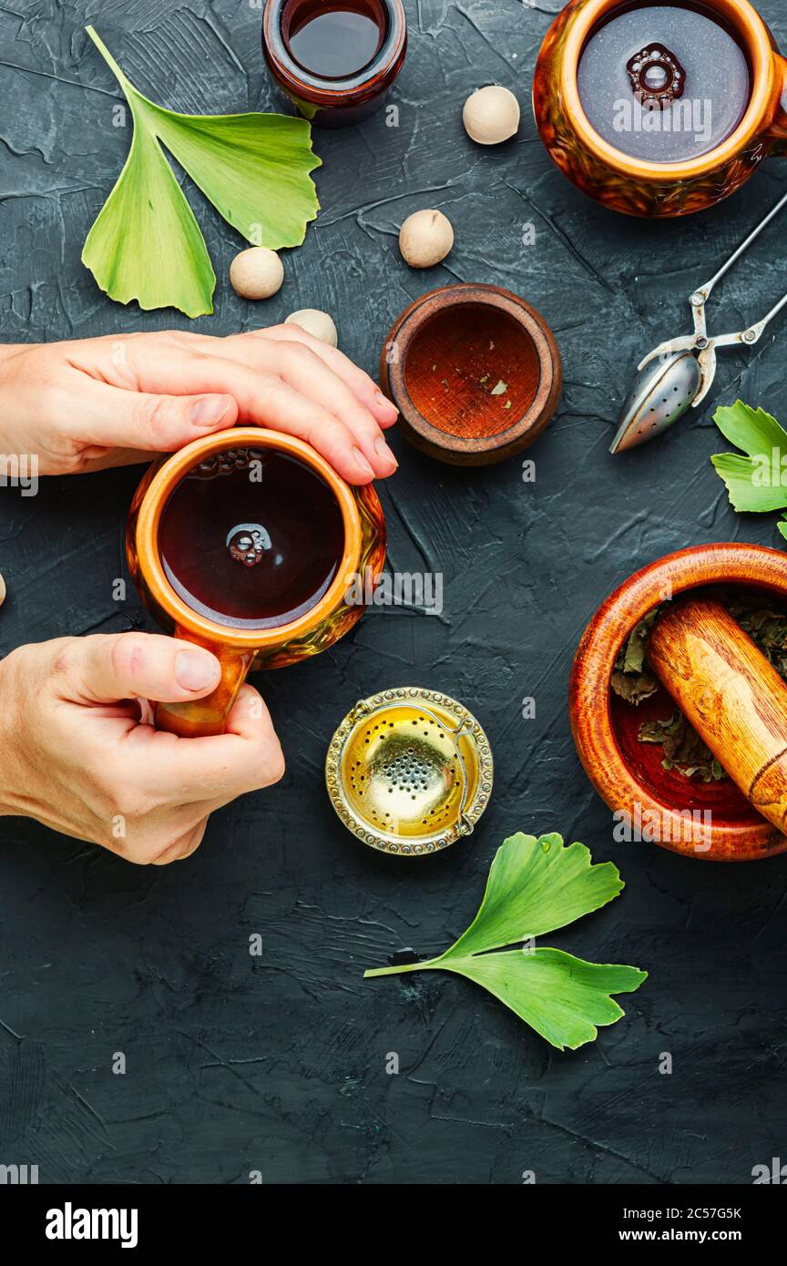 Healing herbal tea from the leaves and seeds of ginkgo biloba.Medical plants.Herbal medicine Stock Photo