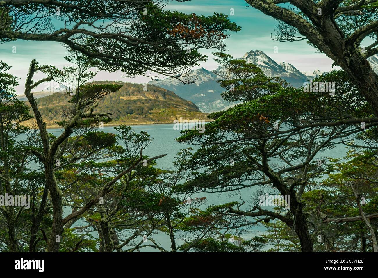 Beautiful view of a lake surrounded by mountains and trees Stock Photo ...