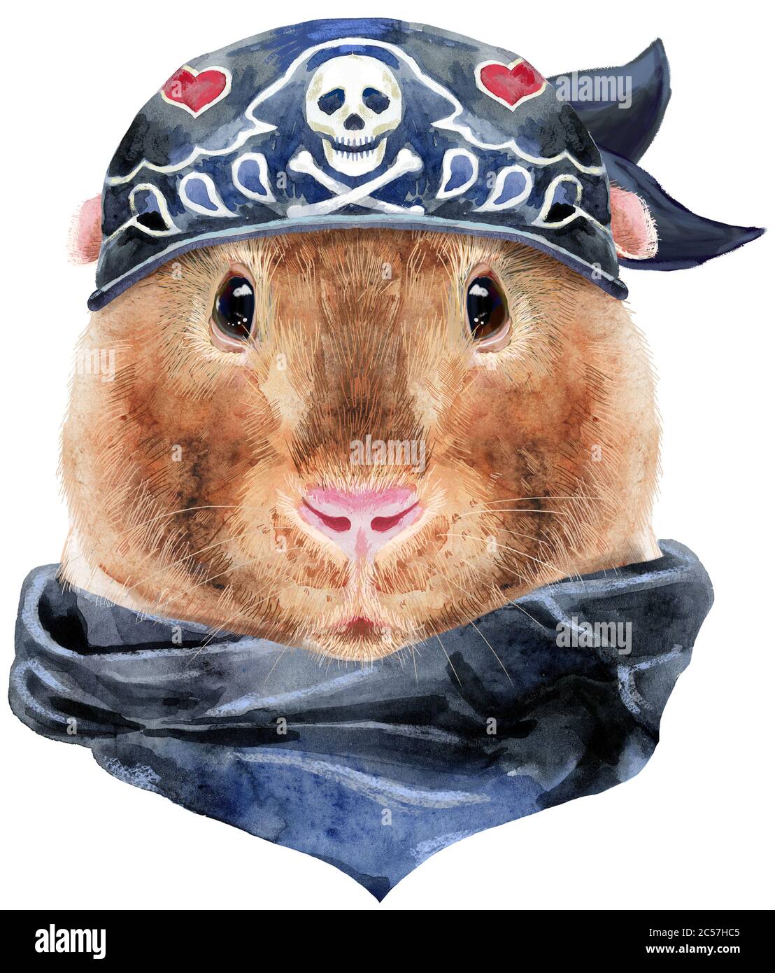 Watercolor portrait of Teddy guinea pig wearing biker bandana on