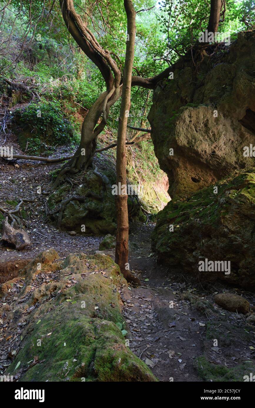 Dingley Dell, Dingly Dell or Mysterious Forest or Woodland & Rock or Boulder in the Carmes Valley Barjols Var Provence France Stock Photo
