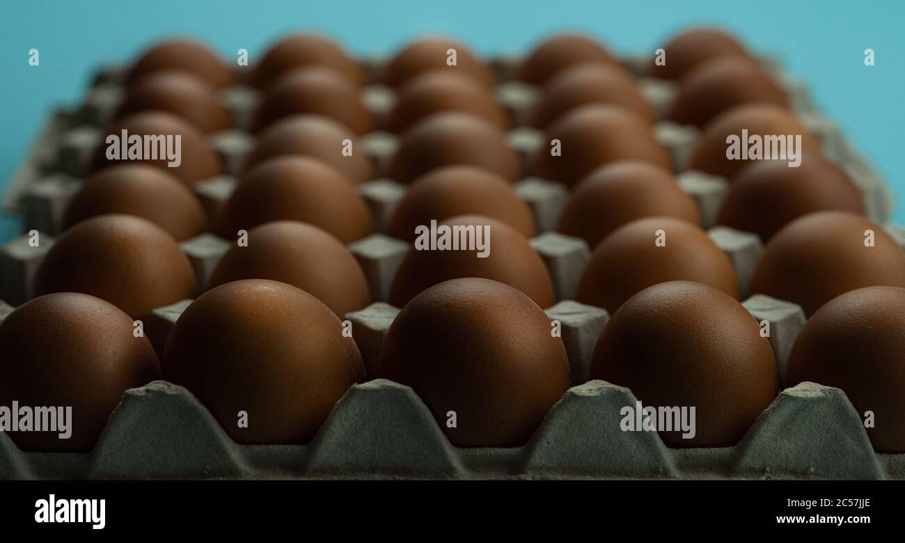 A box of eggs on a blue background Stock Photo
