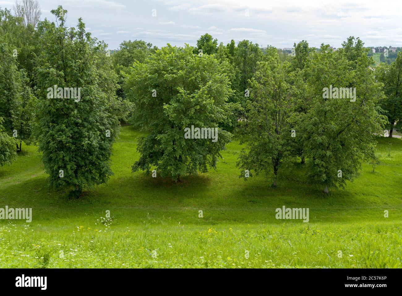 With hillock garden hi-res stock photography and images - Alamy