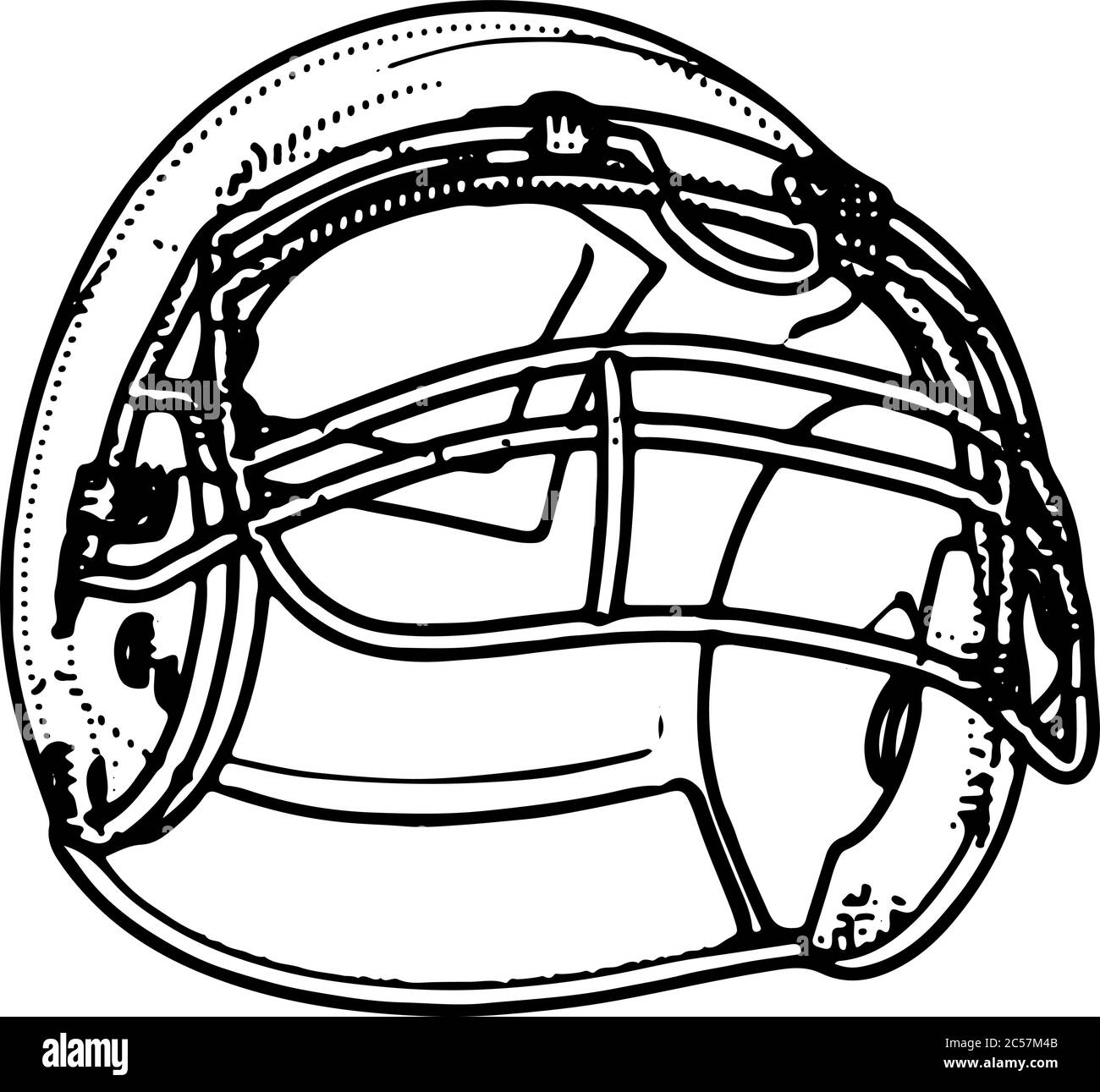 american football helmet drawing vector Stock Vector Image & Art Alamy