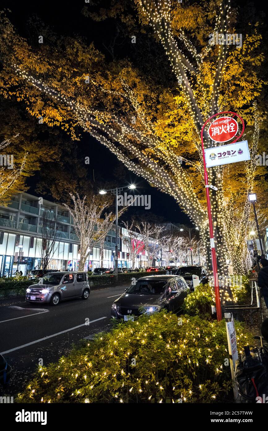 Japan, Honshu island, Kanto, Tokyo, Christmas Illuminations at Omotesando. Stock Photo
