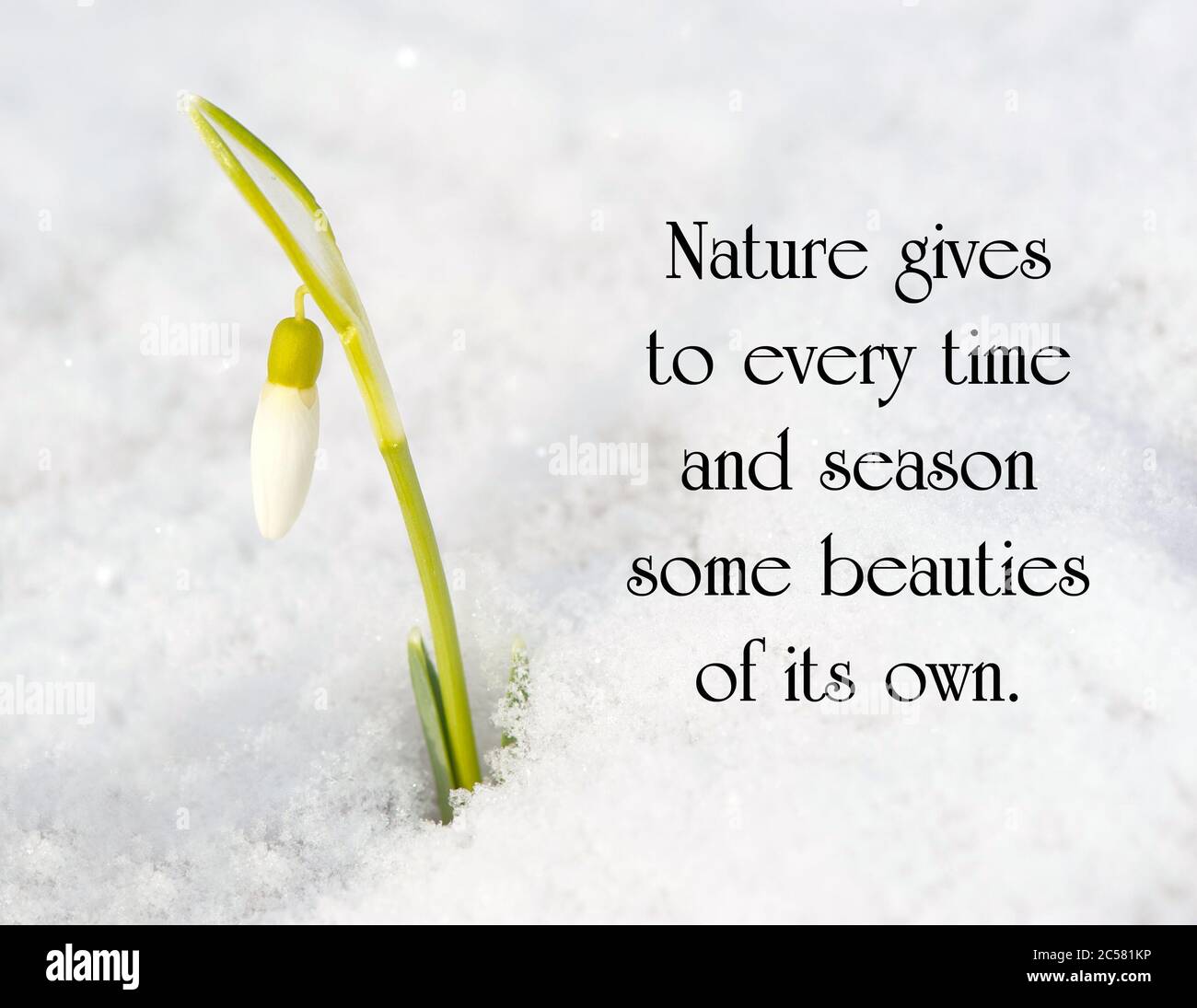 Healing Words High Resolution Stock Photography And Images Alamy Healing Words High Resolution Stock Photography And Images Alamy