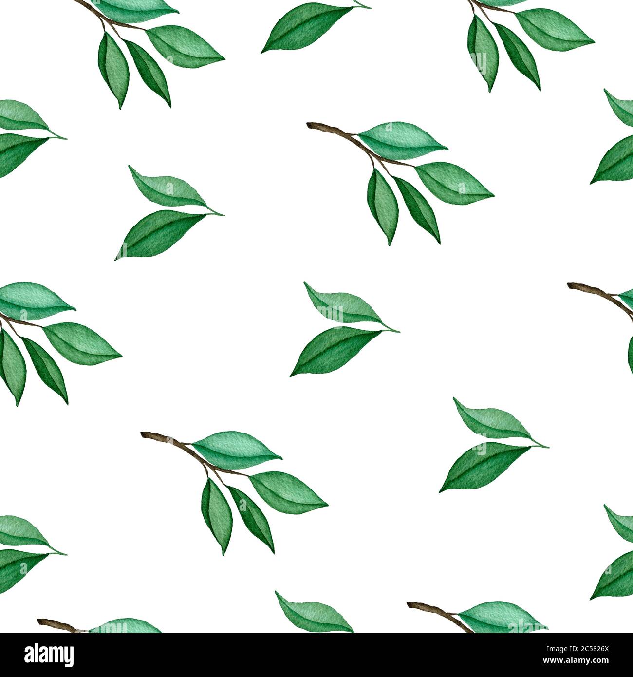 green leaves seamless background, watercolor botanic summer