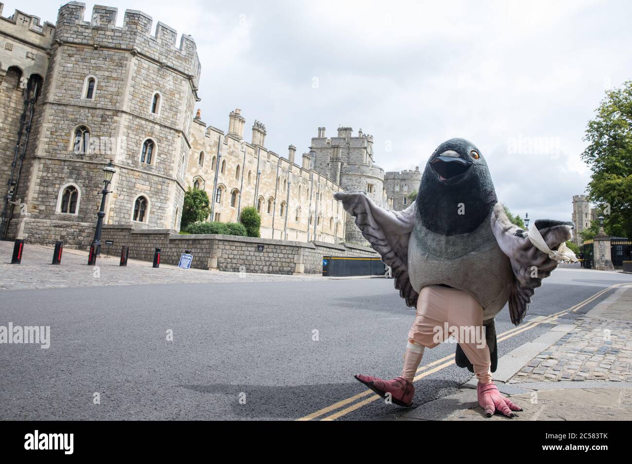 Windsor Uk 1 July A Beaten And Bruised Giant Pigeon Is Used By Peta Uk Activists For A Protest Against Pigeon Racing Outside Windsor Castle Animal Rights Charity Peta Uk Is