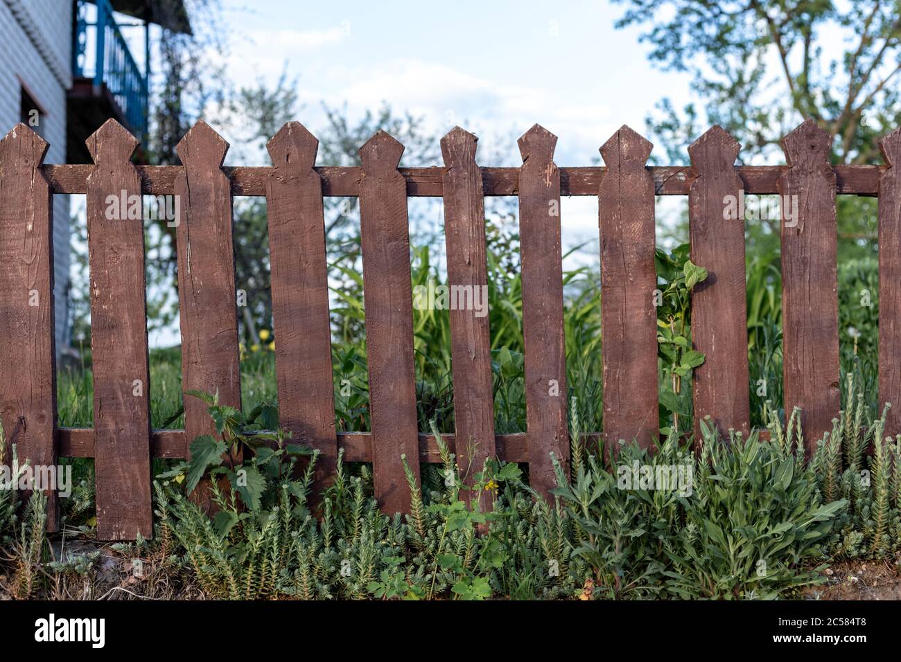 Tree fence wooden natural hi-res stock photography and images - Alamy