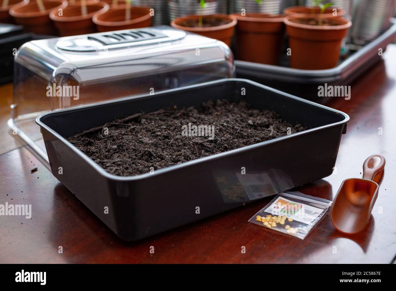 Chilli seeds hi-res stock photography and images - Alamy