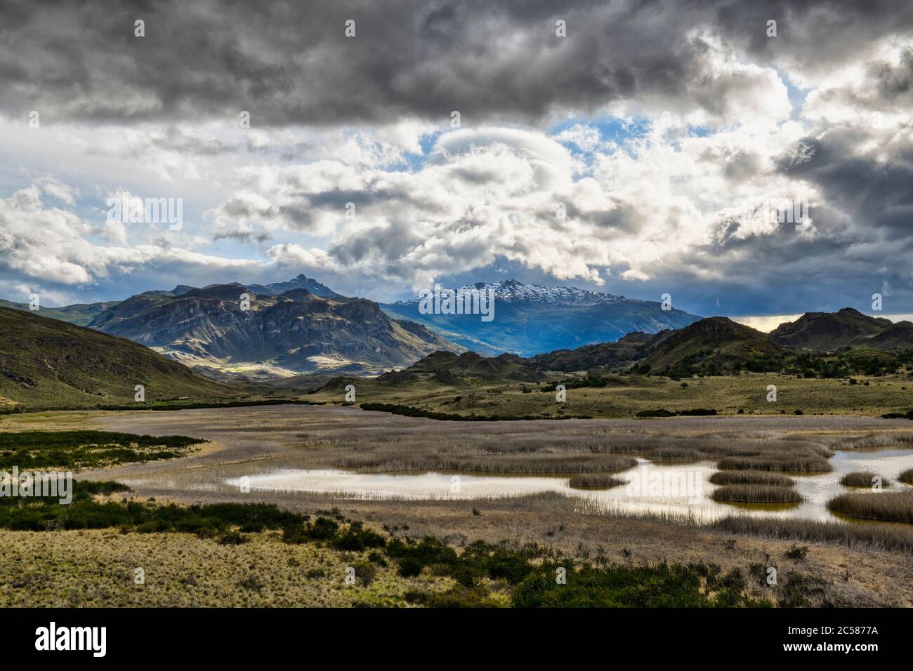 Laguna with marsh grass, Patagonia National Park, Chacabuco valley near Cochrane, Aysen Region, Patagonia, Chile Stock Photo