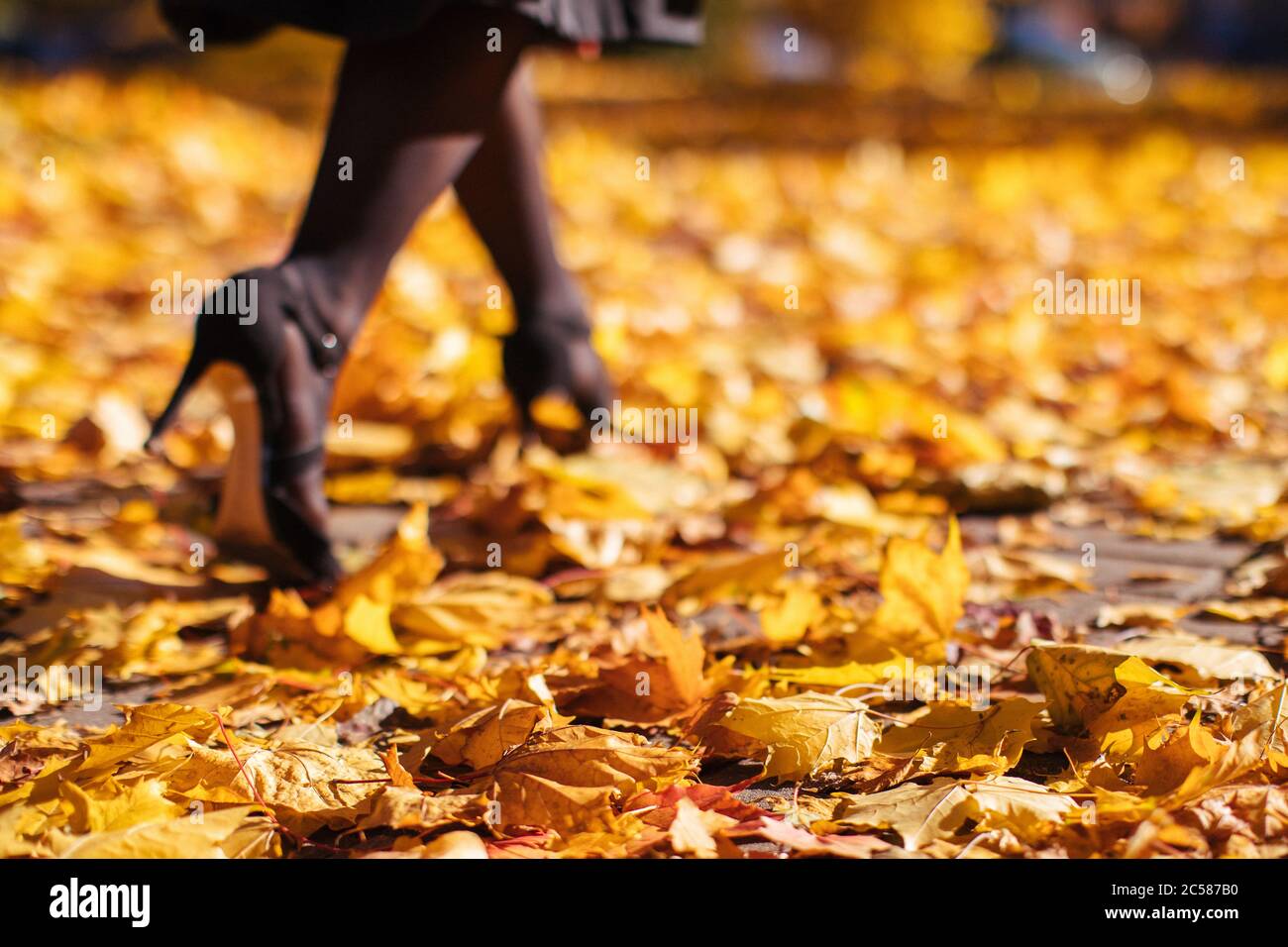 Woman walking on dry fallen leaves in sunny weather, blurred background, soft focus. Female legs with heels on autumn leaves Stock Photo
