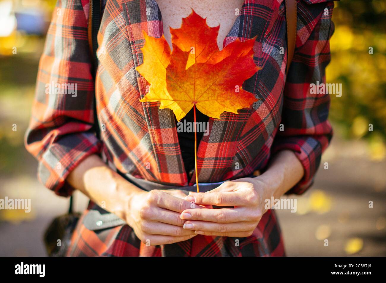 Hand holding maple leaf hi-res stock photography and images - Alamy