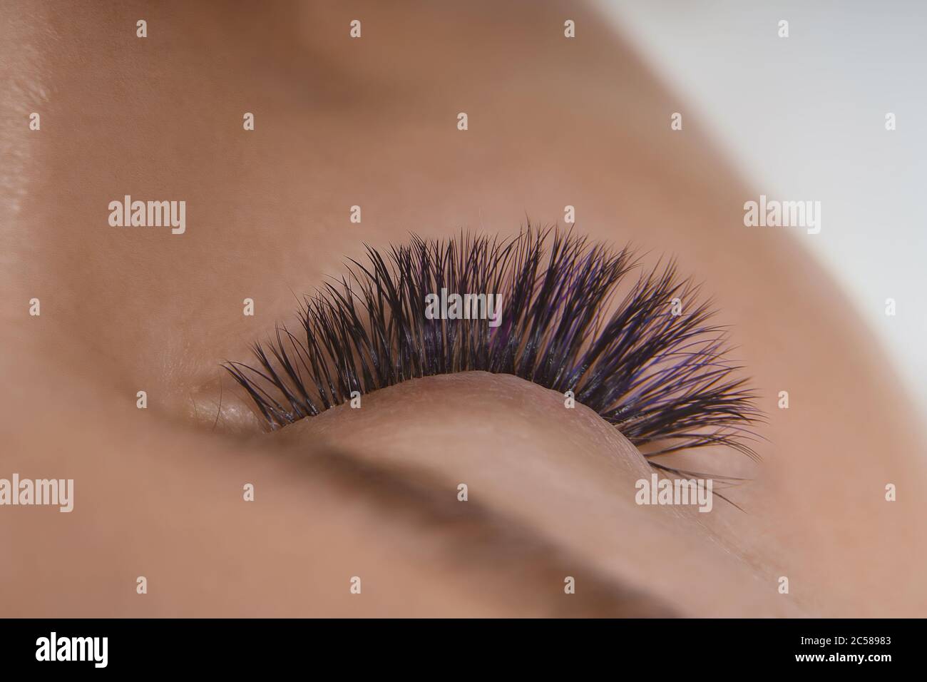 Eyelash Extension Procedure. Close up view of beautiful female eye with long eyelashes, smooth healthy skin. Stock Photo
