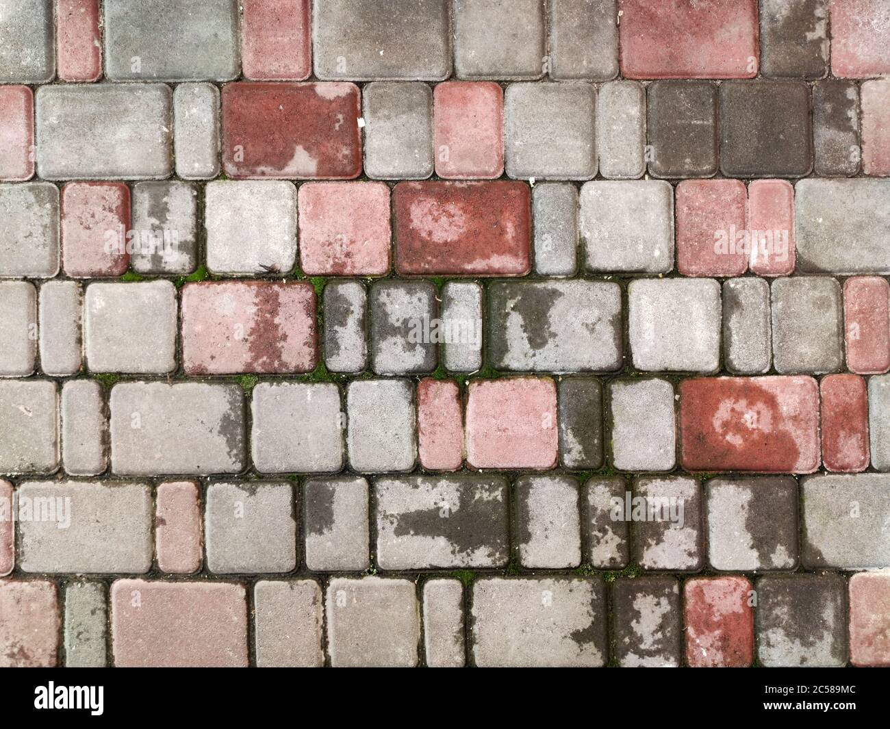 Texture of wet paving slabs with little bit green grass Stock Photo