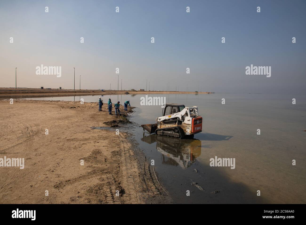 Skid steer loader or bobcat, works to clean the beach with working people Stock Photo