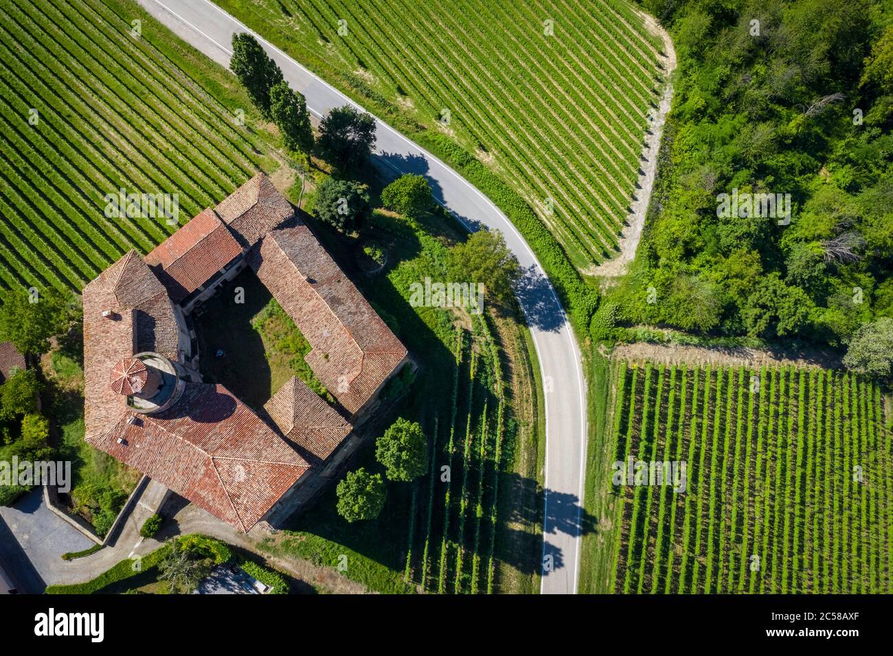 Aerial view of the winding road leading to the Castello di La Volta. Barolo, Barolo wine region, Langhe, Piedmont, Italy, Europe. Stock Photo