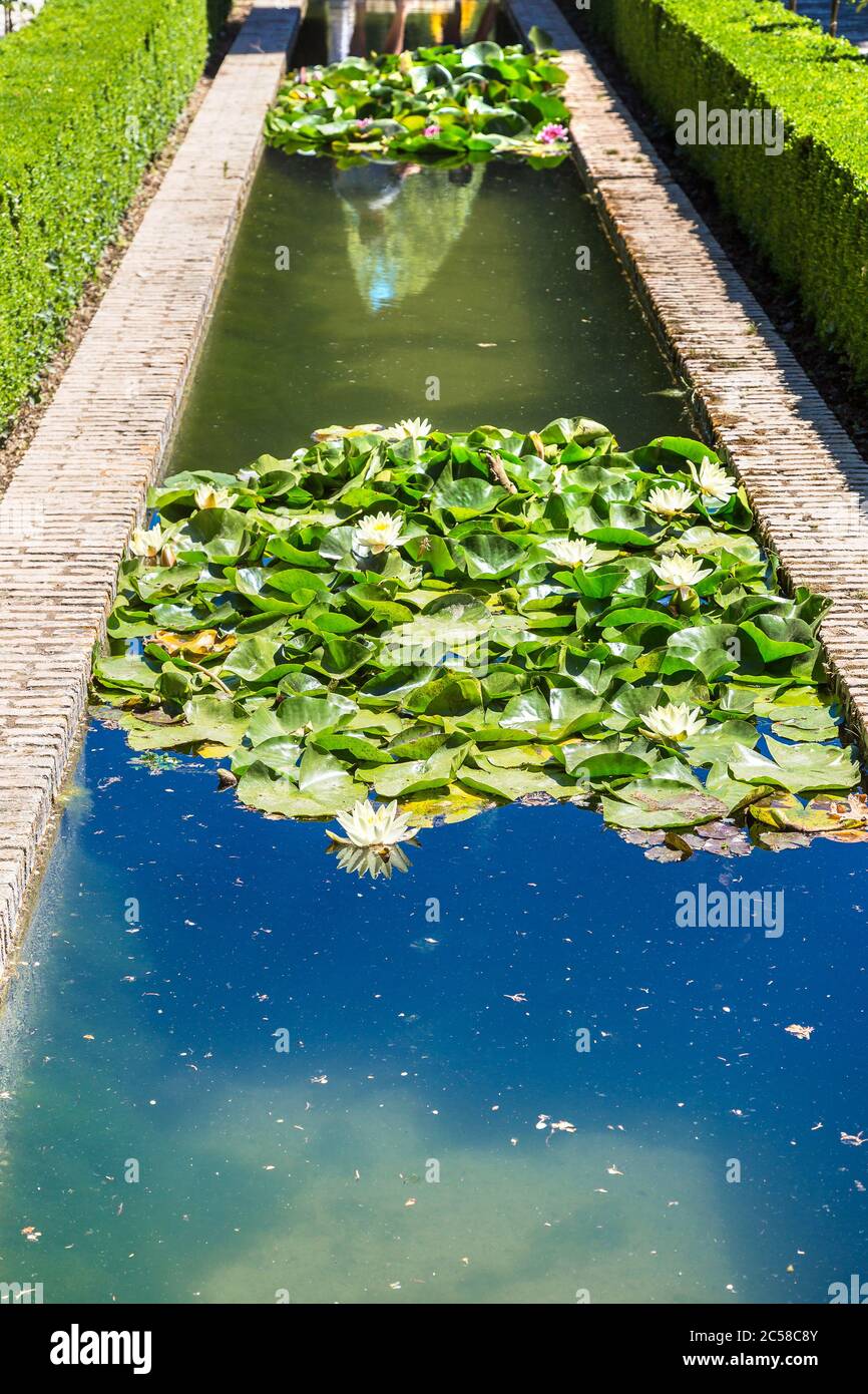 Gardens and fountains in Alhambra palace in Granada in a beautiful