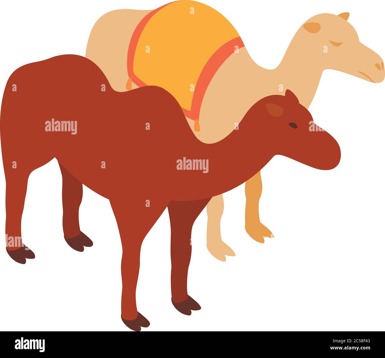 Camelus dromedarius race hi-res stock photography and images - Alamy