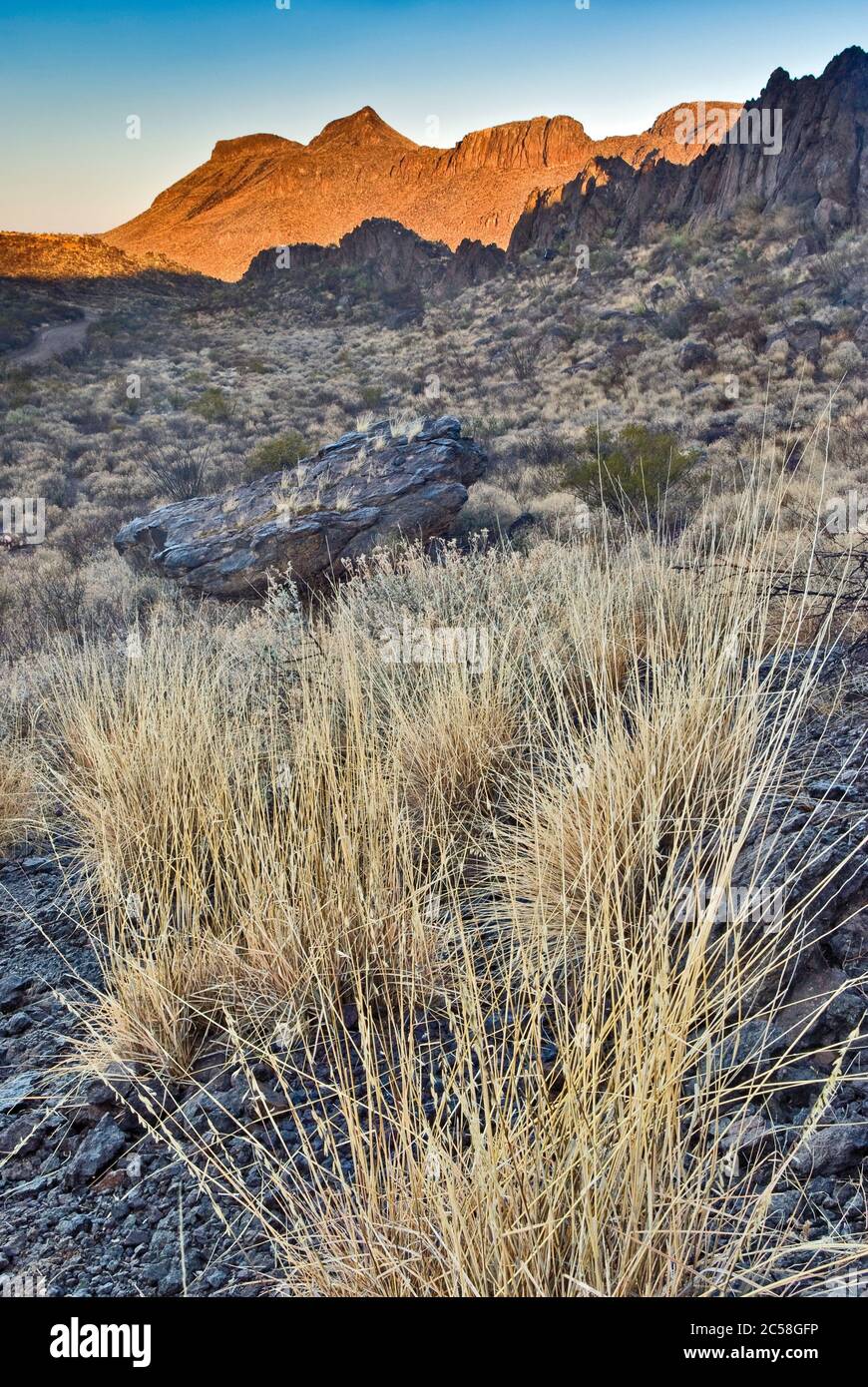 Agua Adentro Mountain at sunrise, grass growing back after decades of overgrazing damage at Chihuahuan Desert in Big Bend Ranch State Park, Texas, USA Stock Photo