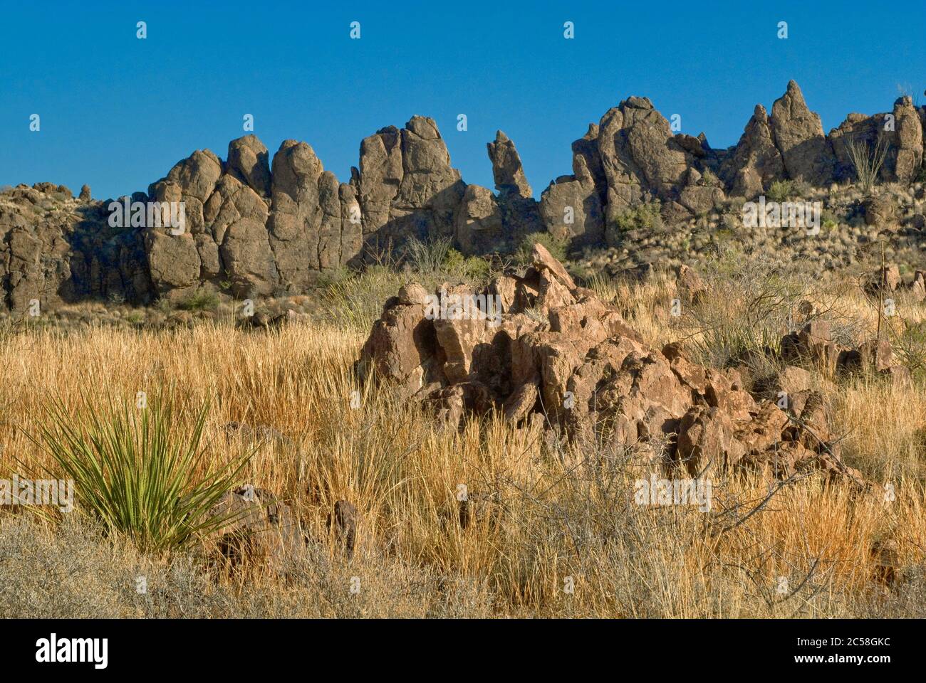 Volcanic trachyte dikes at grassland,  Chihuahuan Desert in Big Bend Ranch State Park, Texas, USA Stock Photo