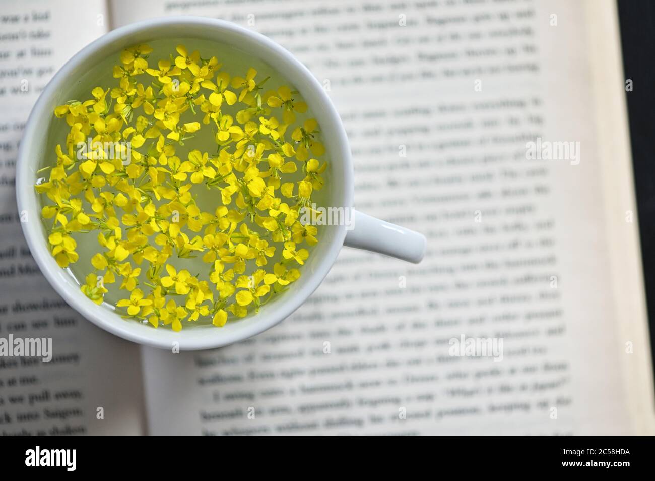 Closeup Cup Of Herbal Drink on Open Book Stock Photo
