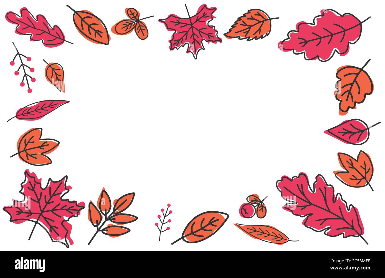 Various autumn leaves isolated on white background hi-res stock ...