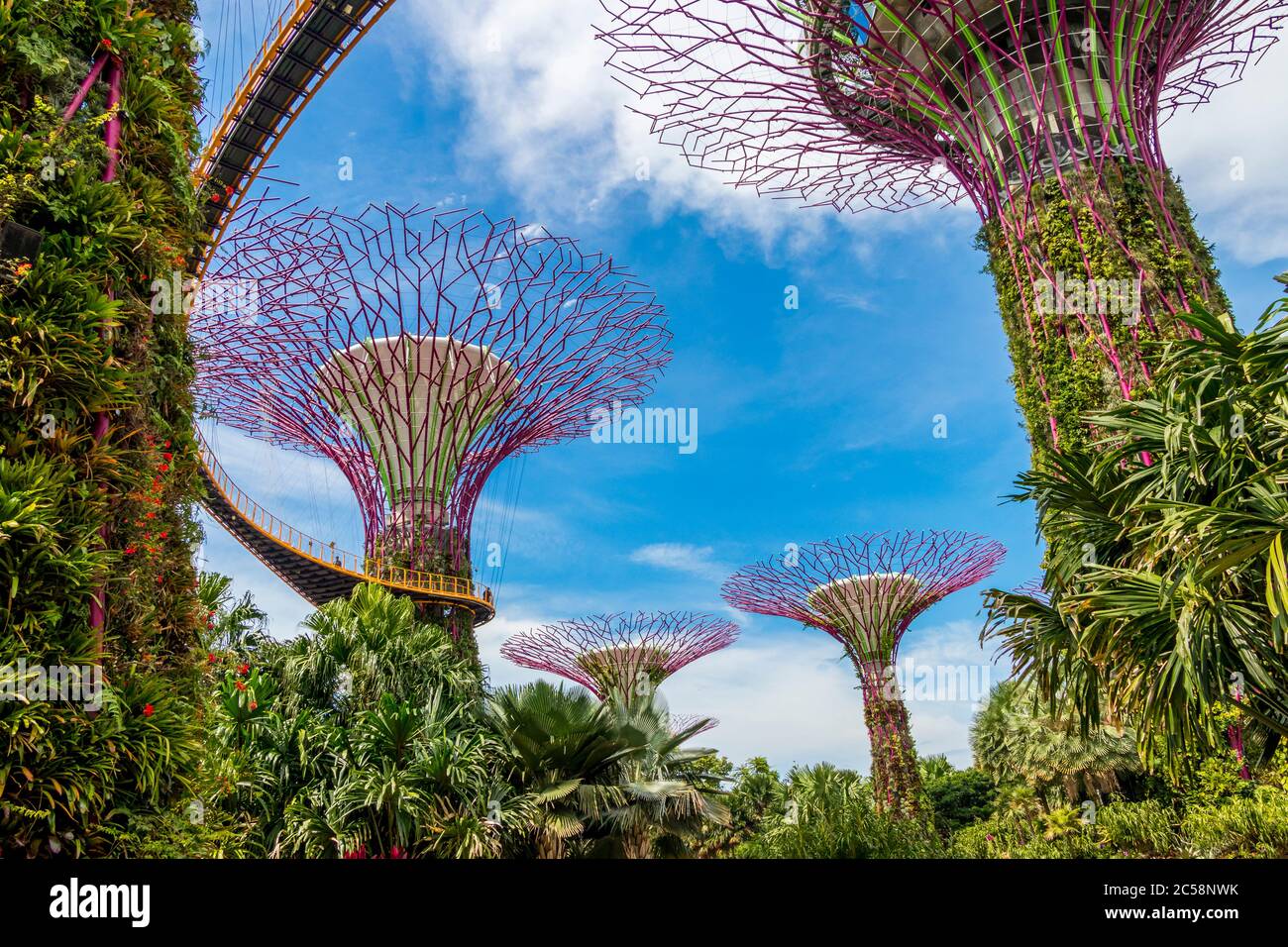 Futuristic Gardens by the Bay OCBC Skyway and Supertree Grove in Singapore. Stock Photo
