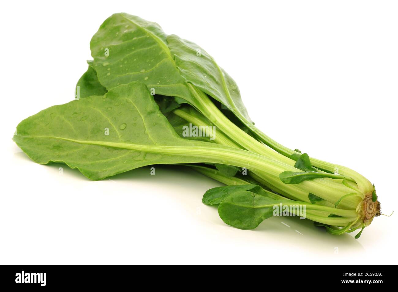 Chinese Spinach High Resolution Stock Photography and Images Alamy