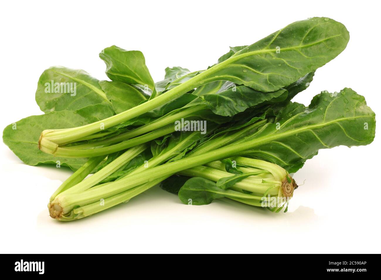 chinese spinach (Ipomoea aquatica) on a white background Stock Photo