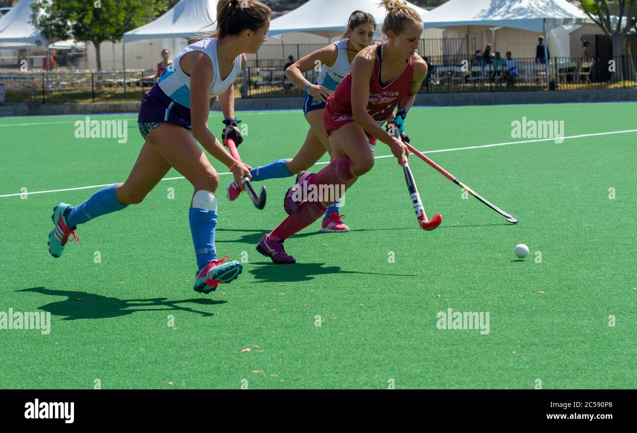 Argentina hockey team hires stock photography and images Alamy