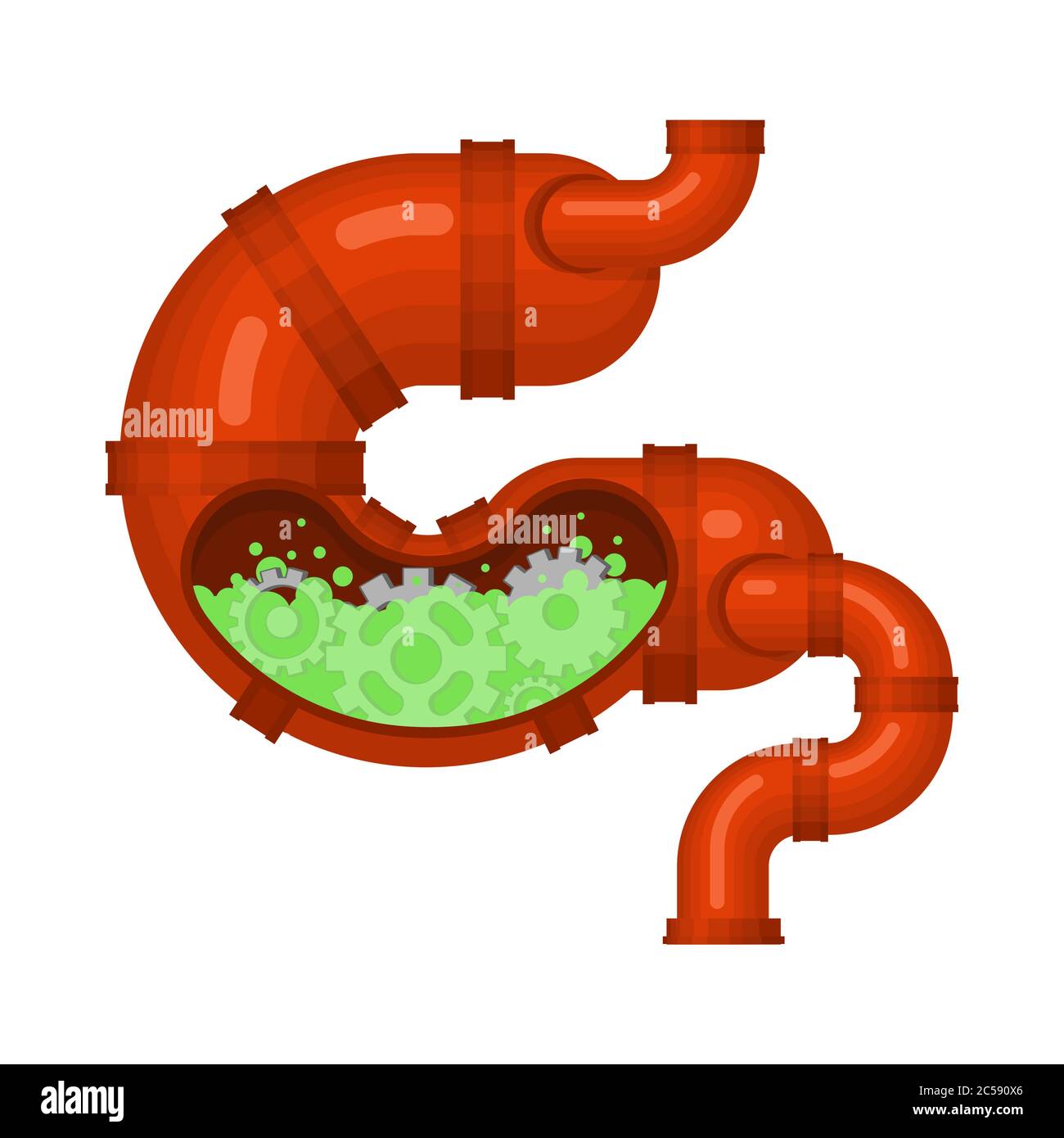 Metal stomach and intestines. Robotic internal organ. organs