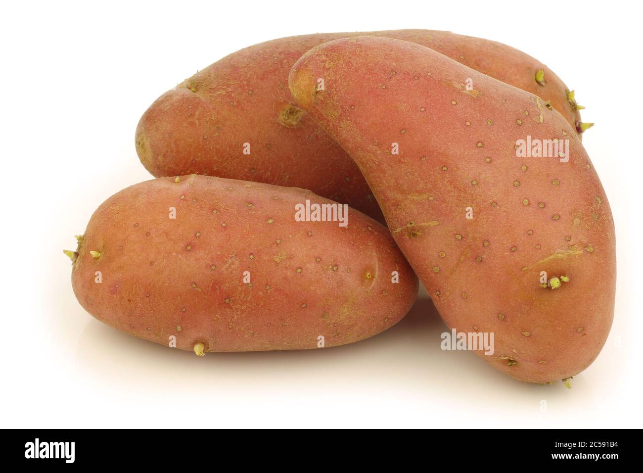 Whole Roseval potatoes stock photo. Image of uncooked - 15735456