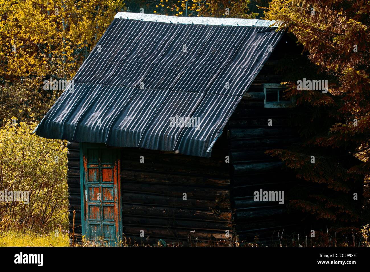 wooden house in the green forest Stock Photo - Alamy