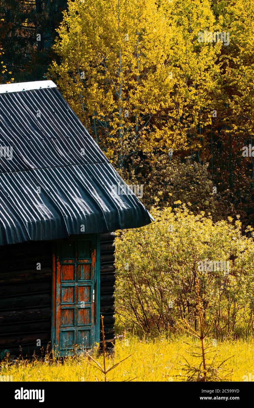 wooden house in the green forest Stock Photo - Alamy