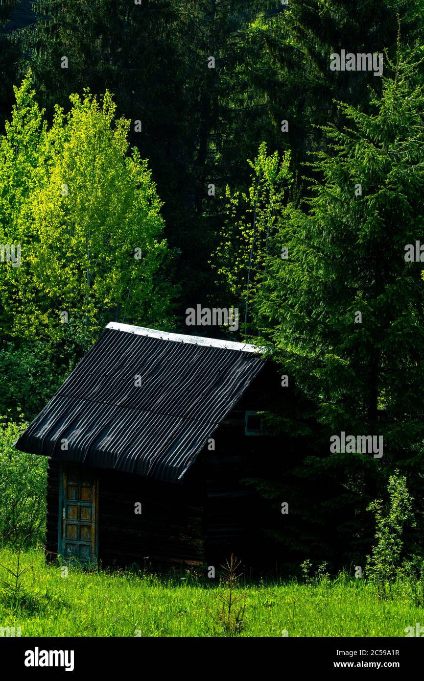 wooden house in the green forest Stock Photo - Alamy