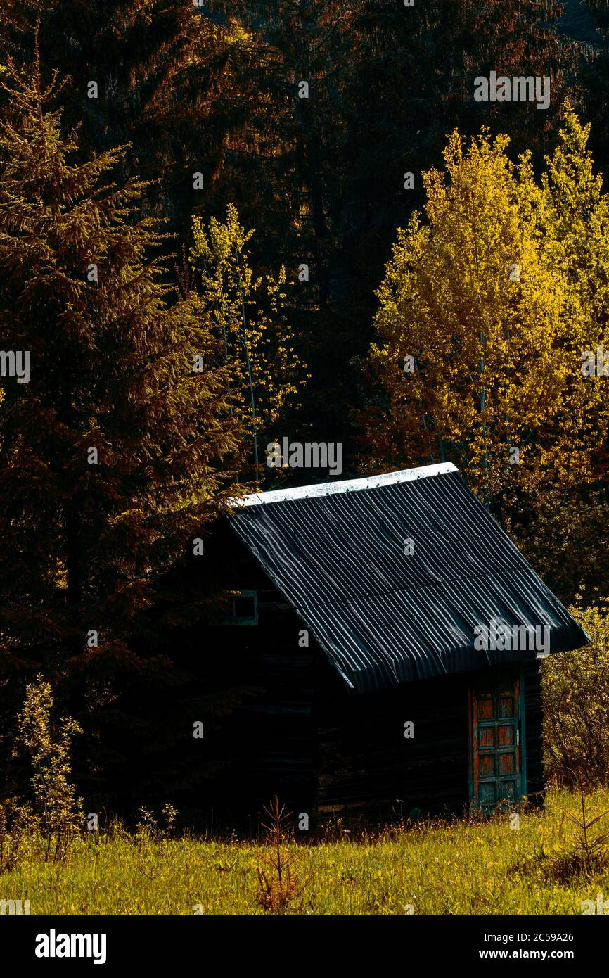 wooden house in the green forest Stock Photo - Alamy