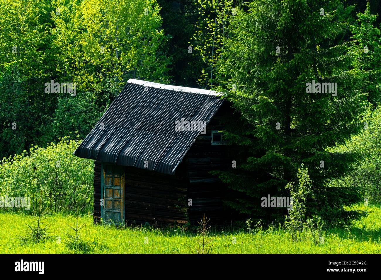 wooden house in the green forest Stock Photo - Alamy