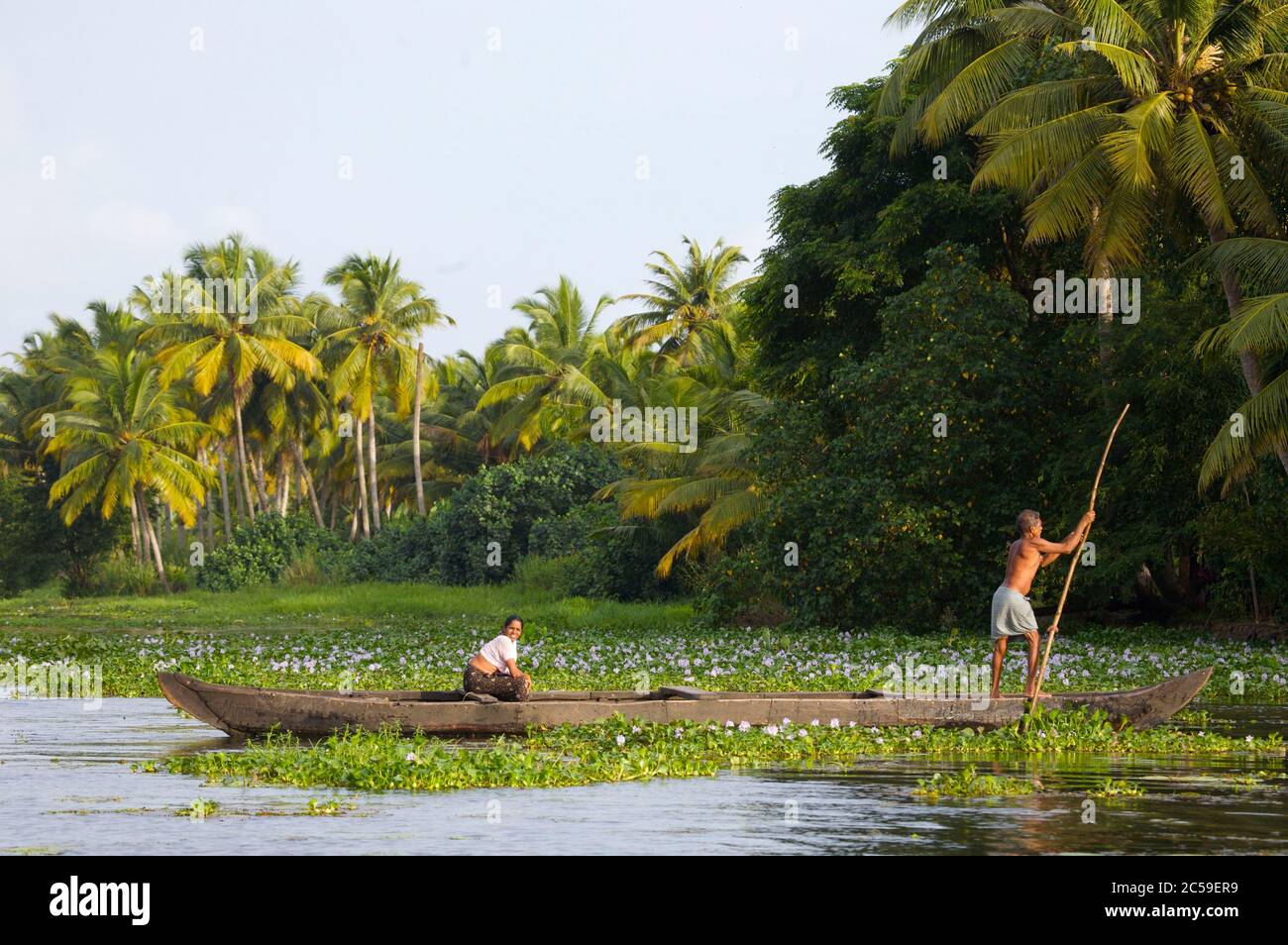 bac water india India, Kerala, atmosphere in the bac water Stock Photo