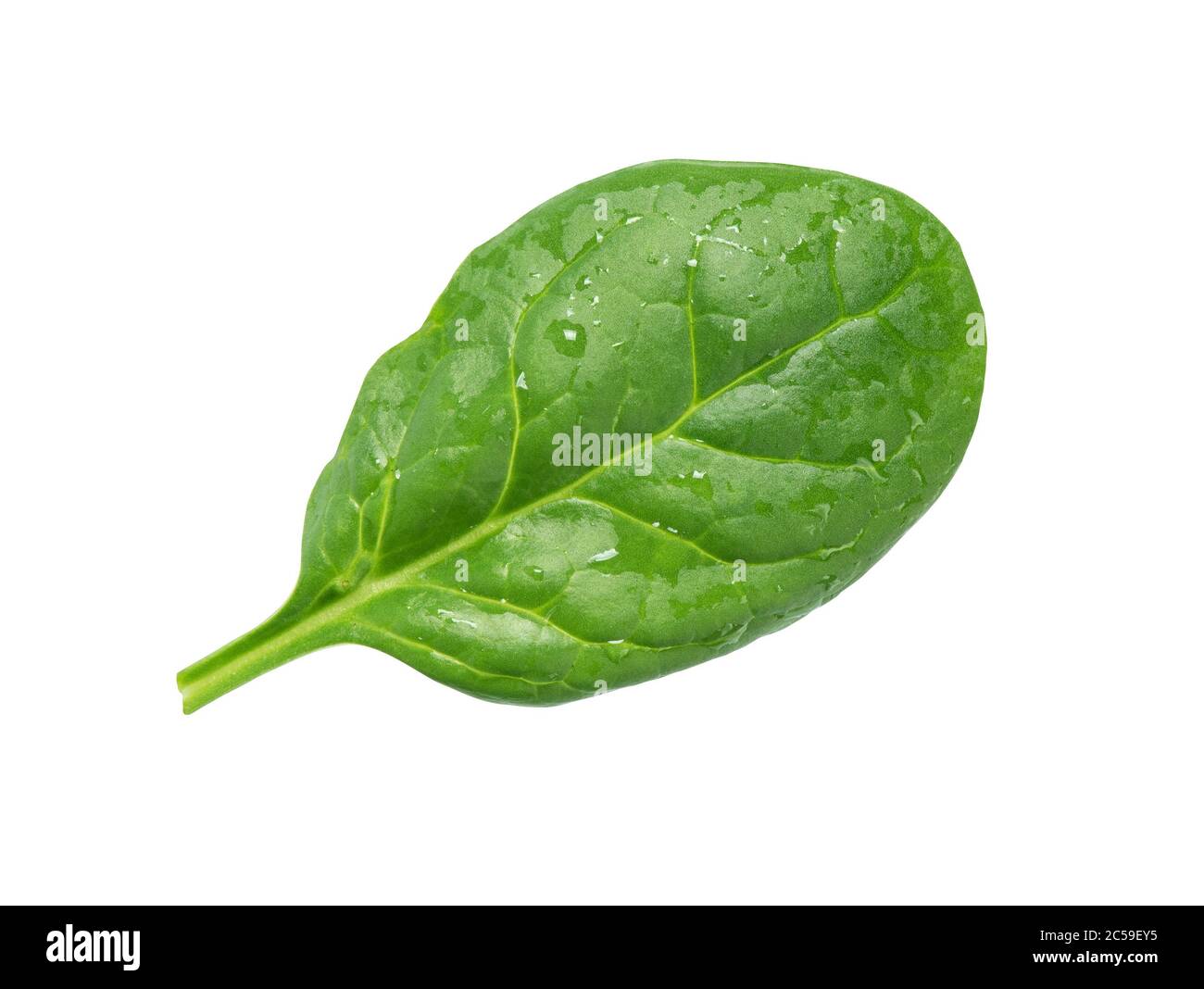 spinach leaf isolated on a white background with clipping path. Top view Stock Photo